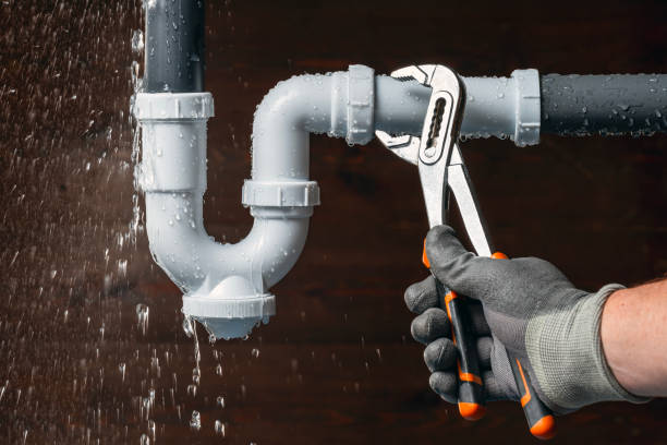 Professional Leak Detection technician working in Port Richey, FL